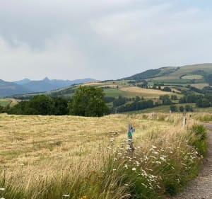 Balade au-dessus de Vic-sur-Cère - Vic-sur-Cère - 2