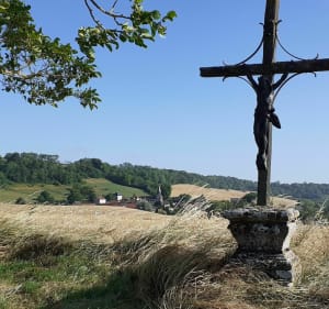 Au fil du Chemin des Dames depuis Beaurieux - Beaurieux - 2