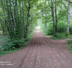 Boucle en VTT dans les bois et chemins blancs - Is-sur-Tille - 2