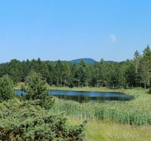 Wandeling van het meer van Calvet naar het meer van Aude-Pyrénées - La Llagonne - 2