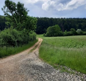 Sortie VTT sportive sur les crêtes du Jura - Carole - 2