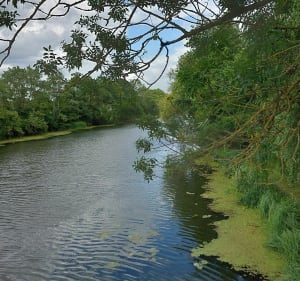 A la découverte du village de La Poire Tapée et les bord de l'Indre - Rivarennes - 2