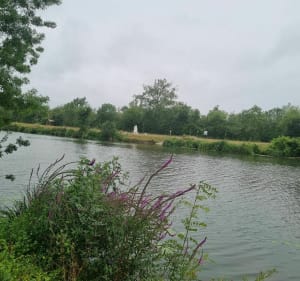 "La Ronde" dans le marais Poitevin - La Ronde - 2