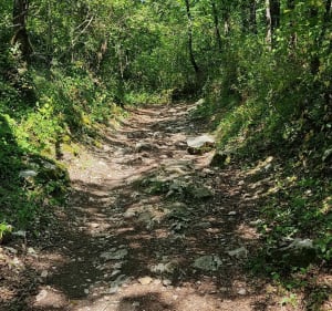 Tour de la carrière de Noyarey - Noyarey - 2