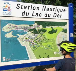 Belle balade autour du Lac du Der - Sainte-Marie-du-Lac-Nuisement - 5