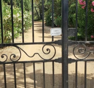 Rond Sagone - Vico - 2