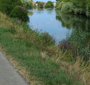Grindgroeve, vijver en fortenpad - Souffelweyersheim - 2