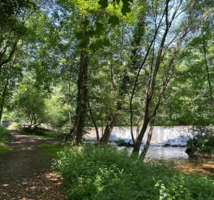 Le long du Renaison - Roanne - 2