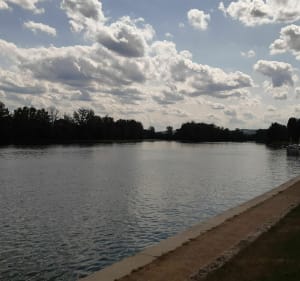 Sur les rives de Saône entre villefranche et Trévoux - Villefranche-sur-Saône - 2