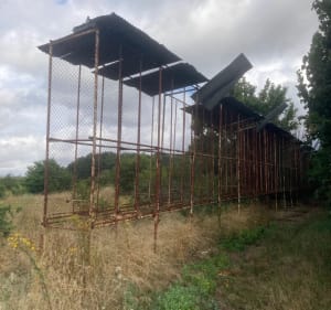 Entre champs et forêt de Folleville depuis les Maisons Brulées - Saint-Hilaire-Saint-Mesmin - 2