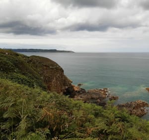 De la Pointe de Saint Cast au Grouin de la Fosse. - Saint-Cast-le-Guildo - 5