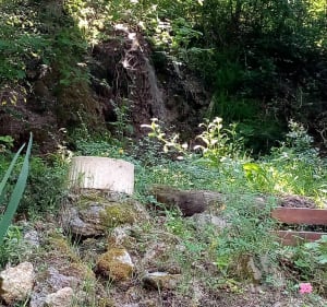 Balade bucolique entre Maule et Aulnay sur Maudre - Maule - 2