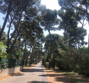 Ballade Sormiou, Borely, Corniche jusqu’au Maregraphe - Katia - 2