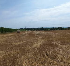 De la Bruyère à Vichy en longeant l'Allier - Saint-Christophe-en-Bourbonnais - 5