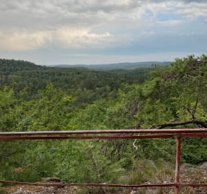 Pour les amoureux de la forêt en vtt depuis Waldhouse - Waldhouse - 2