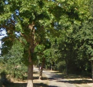 Tenues maraîchères et Divate à Nantes - Nantes - 2