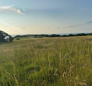 Gemakkelijke wandeling met prachtige panorama's in Hendaye - Hendaye - 2