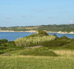 Balade facile avec des panoramas merveilleux à Hendaye - Hendaye - 3