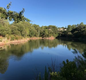 Vers la Bouverie par Palayson - Roquebrune-sur-Argens - 2