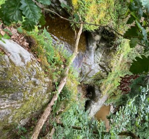 Balade à Sauret Bessevre et ses environs - Sauret-Besserve - 4