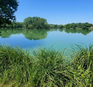 Plaisance du Touch en longeant le Touch - Stéphane - 3
