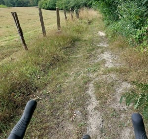 Balade sur le GR 25 aux alentours d'Epinay - Bois-d'Ennebourg - 2