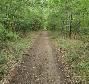 Boucle de la Seine, et forêt de Moisson - Mousseaux-sur-Seine - 4