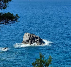 Du Brusc au Grand Gaou et la Pointe Salva - Six-Fours-les-Plages - 3