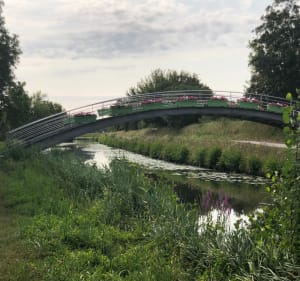 Orléans - Chécy : en bord de canal c’est superbe et facile - Daniel - 2