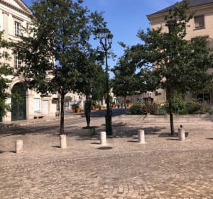 Orléans - Chécy : en bord de canal c’est superbe et facile - Daniel - 3