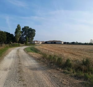 Trail 5 km Montbartier - Bessens - 2