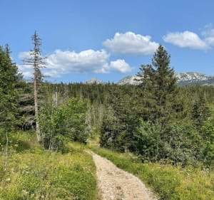 Balade sur les hauts plateaux du Vercors - LAURENT - 5