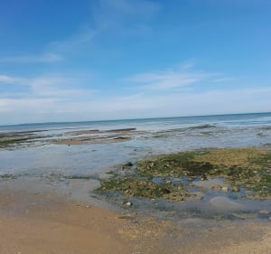 Aytre chatelaillon plage - Châtelaillon-Plage - 2