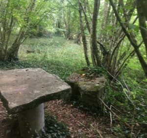Saint-Georges-de-Montaigu : le petit Cabanon - Montaigu-Vendée - 2