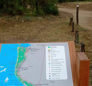 VTT dans la forêt de Saint-Jean-de-Monts entre Davière et la Motte - Saint-Jean-de-Monts - 2