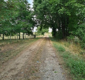 Belle et agréable promenade dans les bois de Cubord - jean claude - 4