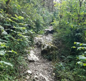 Cascade de Quinquenouille et bord du Dard - Valzin en Petite Montagne - 2