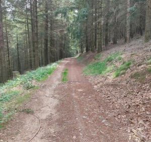 La Combetalade - Fred  - 3
