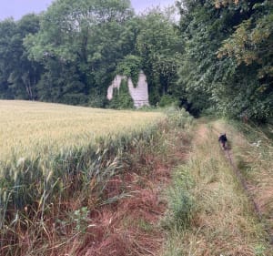 Belleu par le plateau, retour route de Château Thierry - Belleu - 2