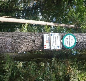 Beau parcours VTT mi route mi chemin autour du Soultzthal. - Gœrsdorf - 2