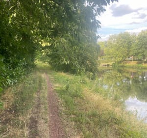 Du coté du Canal de Lens depuis Harnes - Harnes - 2