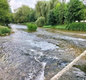 Moutonneau au bord de l'eau - Moutonneau - 2