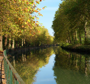 Sortie gravel à Chalette-sur-Loing et Canal du Loing - Philippe - 2