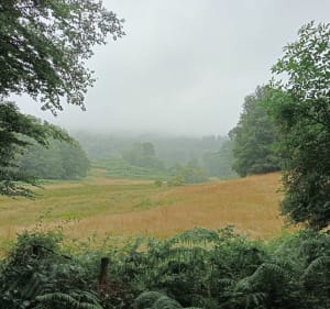 Tour à vélo à bonnac la cote - Bonnac-la-Côte - 2
