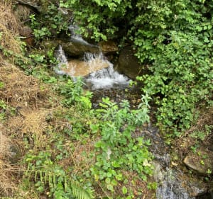 Balade à Saligos au Pont de la Reine Hortense - Saligos - 2