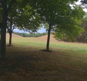 Chemins aux alentours d'Evry-Courcouronnes - Évry-Courcouronnes - 2