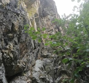 Ailefroide - Clapouse Bosse - Vallouise-Pelvoux - 2