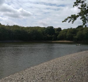 Balade sur les rives du lac de Graon - Saint-Vincent-sur-Graon - 4