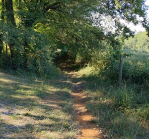 Entre Paunat et Limeuil - Paunat - 2