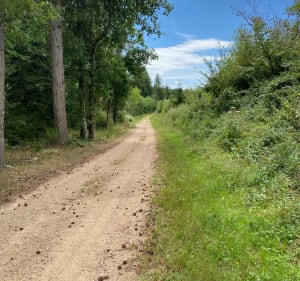Balade dans les Combrailles - Champs - 2